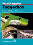 PraxisRatgeber Taggeckos