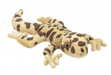 Kuschel Leopardgecko