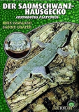 Der Saumschwanz-Hausgecko (Cosymbotus platyurus)