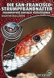 Die San-Francisco-Strumpfbandnatter (Thamnophis sirtalis tetrataenia)