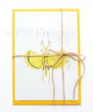 Postcard Phasmid Explosion