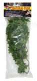 Medium Congo Ivy 46 cm