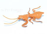 Deroplatys Figur