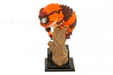 Japanfigur Nephrurus w. wheeleri STUDIO SERIES