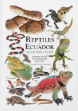 Reptiles of Ecuador - Life in the middle of the World