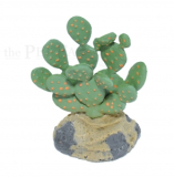 Fig Cactus with Rock Base