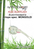 Zuchtansatz Triops spec. MONGOLEI