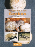 Vermehrung von Geckos