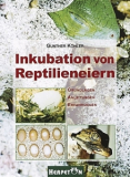 Inkubation von Reptilieneiern