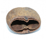 Palm Hide