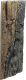 Slim Amazone 60C - 20 x 55 cm