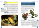 Der Schreckliche Pfeilgiftfrosch - Phyllobates terribilis