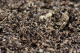 Spider Ground 2,5kg