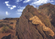 Amphibians and Reptiles of Morocco