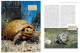 Das Schildkrötenjahr