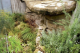Captive Habitats - Building, furnishing and maintaining