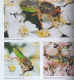 Das große BLV Handbuch Insekten