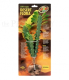 Euphorbia