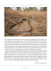 The Snakes of Laos