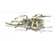Dynastes Figur aus Metall