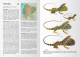 Reptiles of Ecuador - Life in the middle of the World