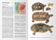 Reptiles of Ecuador - Life in the middle of the World