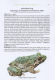 The Amphibians of Bhutan