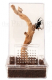 Jumping Spider Kit