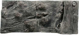 Orinoco - 100 x 42 cm