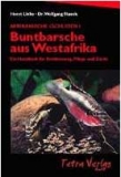 Buntbarsche aus Westafrika (Afrikanische Cichliden I)