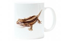 Kaffeebecher "Rhacodactylus auriculatus"