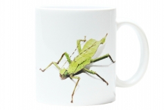 Kaffeebecher "Heteropteryx dilatata"