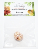 Schneckenhaus - Helix