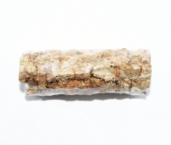 Brasil - Cork Tube ca. 5- 9 x 20 cm