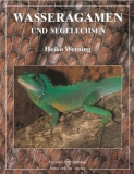 Wasseragamen und Segelechsen