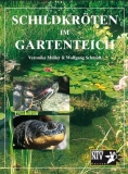 Schildkröten am Gartenteich