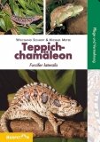 Teppichchamäleons Furcifer lateralis