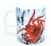 Kaffeebecher "Heteropoda davidbowie"