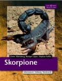 Skorpione - Lebensweise, Haltung, Nachzucht