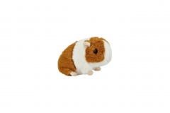 Kuschel Hamster