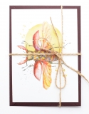 Postcard Lucanus flying