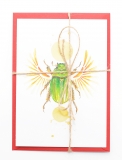 Postcard Chrysina