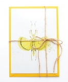 Postcard Phasmid Explosion