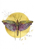 Print DIN A4 Locust flying