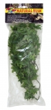 Medium Congo Ivy 46 cm