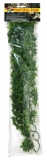 Large Congo Ivy 56 cm