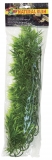 Large Madagascar Bamboo 56 cm