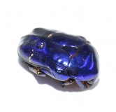 Protaetia elegans BLAU Larven