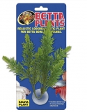 Betta Plant - Salvia