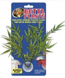 Betta Plant - Bamboo